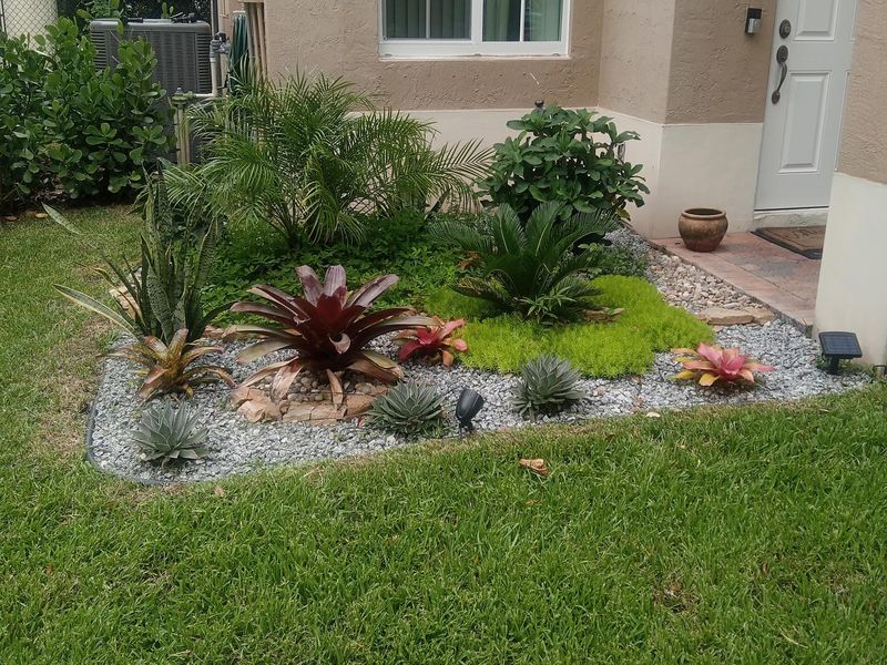 Tropical front-entry garden with bromeliads and a white rock border