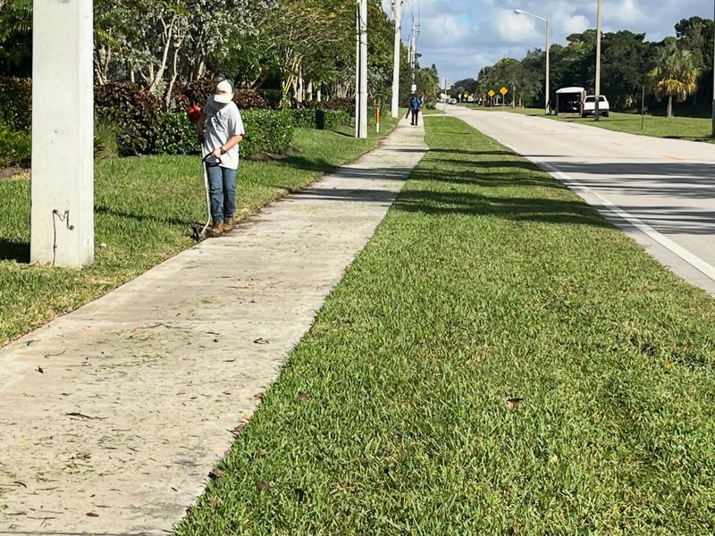 Freshly mowed roadside swale and edged sidewalk on a commercial route