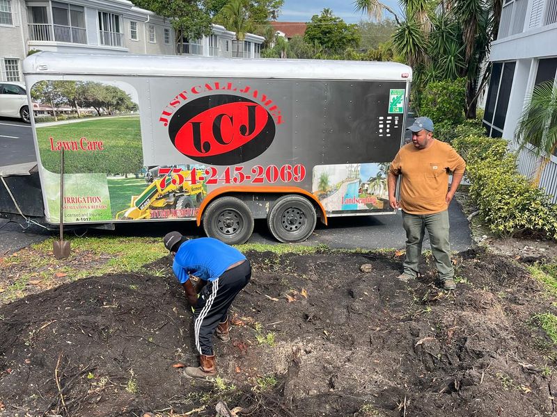 Tree service crew clearing roots after stump grinding