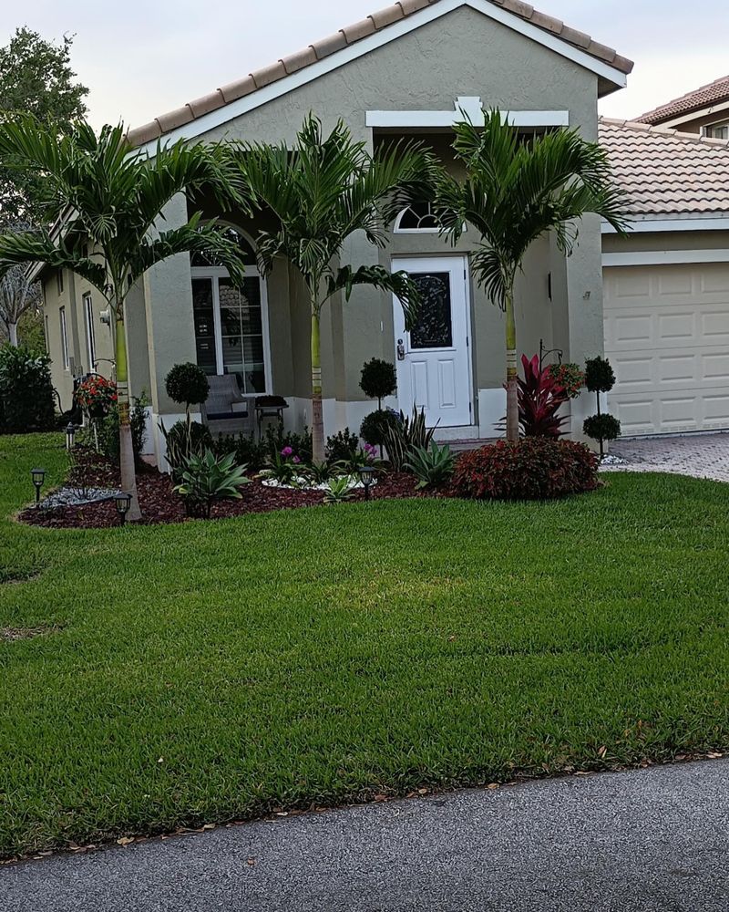 Freshly landscaped front yard with palm trees, topiaries and a lush green lawn