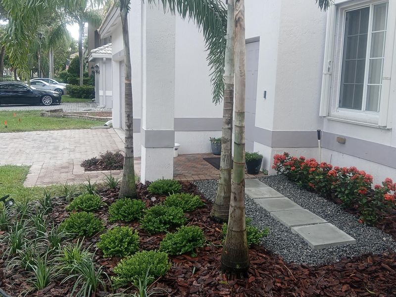 Side-yard landscape bed with palms, ground cover and stepping stones