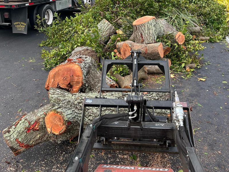 Cut tree sections and brush staged for removal during storm cleanup at a condominium