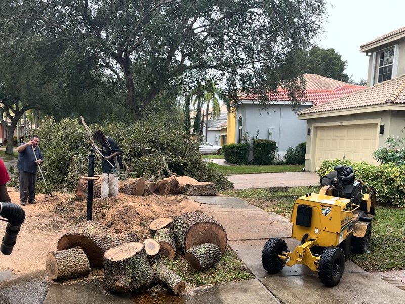 Stump grinder and cut log sections during a residential tree removal